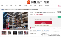 大为闲置、少部门正在用